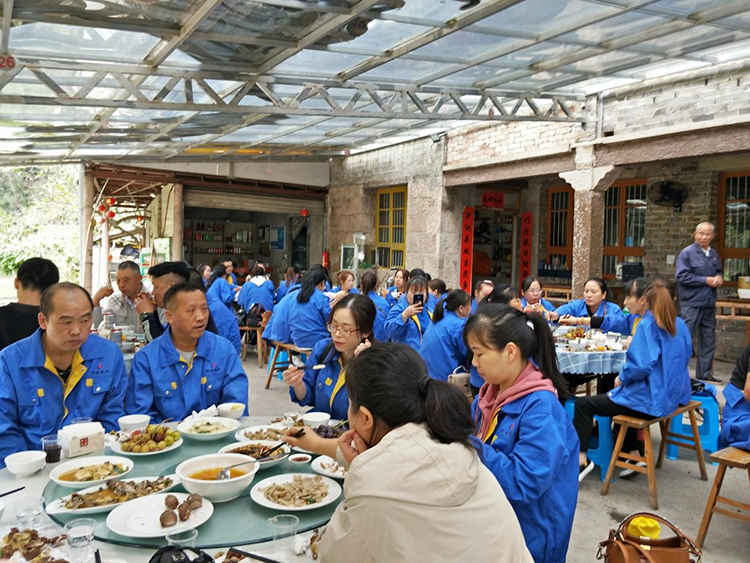 village farm (2)